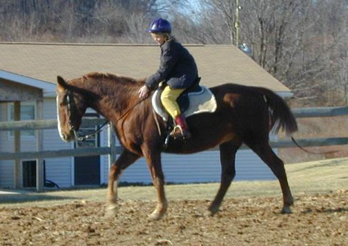 Photo of Samantha rides on Lady